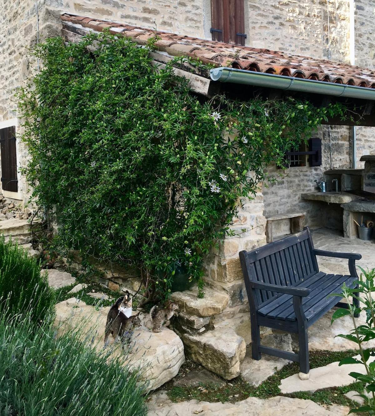 Bolara 60: The Cottage Groznjan Bagian luar foto